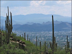 Search Tucson MLS Listings and Enjoy Weather in AZ