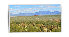 Arizona Property For Sale in AZ