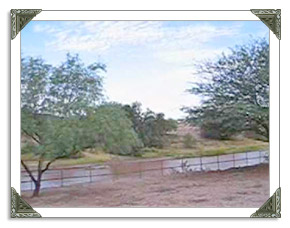 Rillito River Park in Tucson AZ