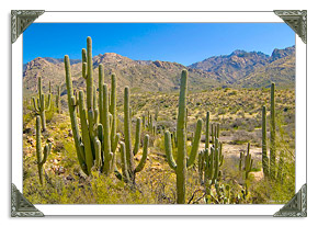 Santa Catalina Park in Tucson AZ