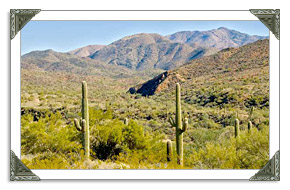 Vail AZ Real Estate MLS Listings of Homes and Land For Sale in Arizona