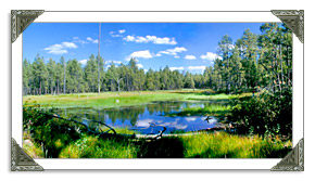 Pinetop - Lakeside AZ Real Estate MLS Listings of Homes and Land For Sale in Arizona