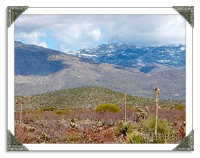 Corona de Tucson AZ Real Estate MLS Listings of Homes and Land For Sale in Arizona